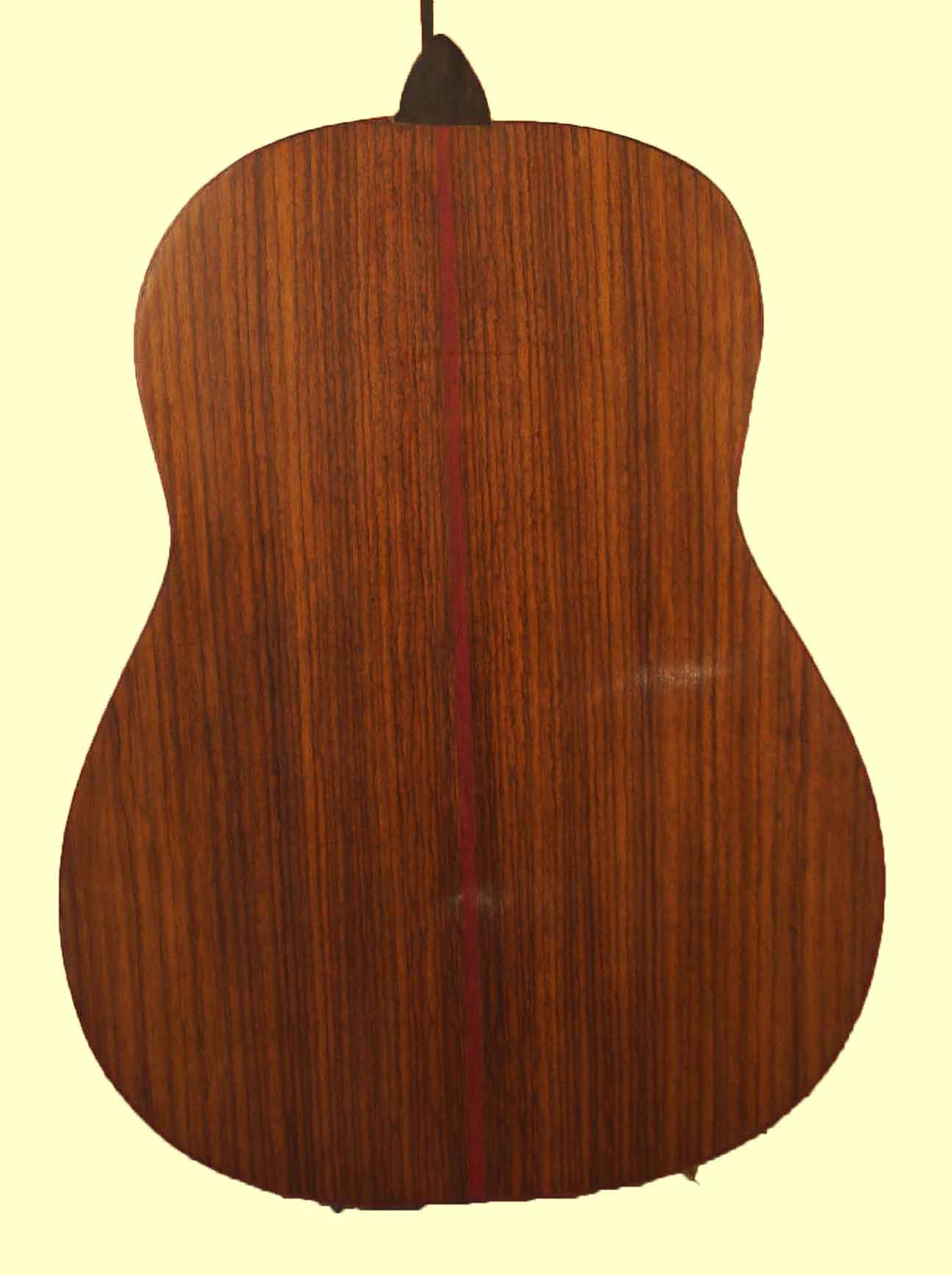 thompson21 back